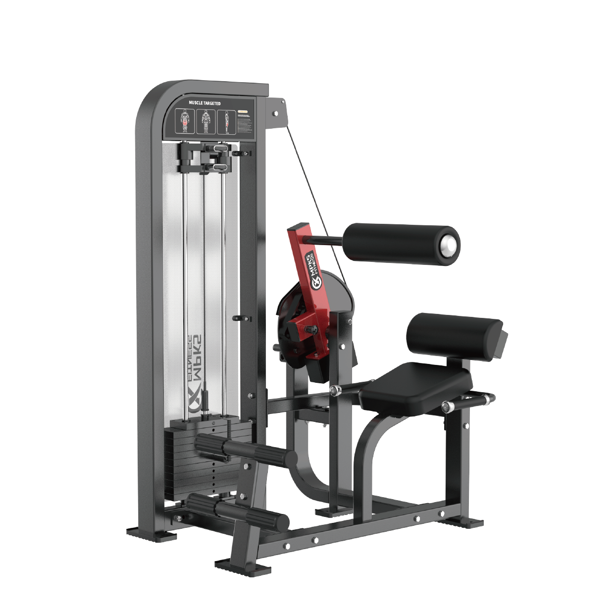 Seated Back Trainer Pin Loaded | Gym Strength Equipment